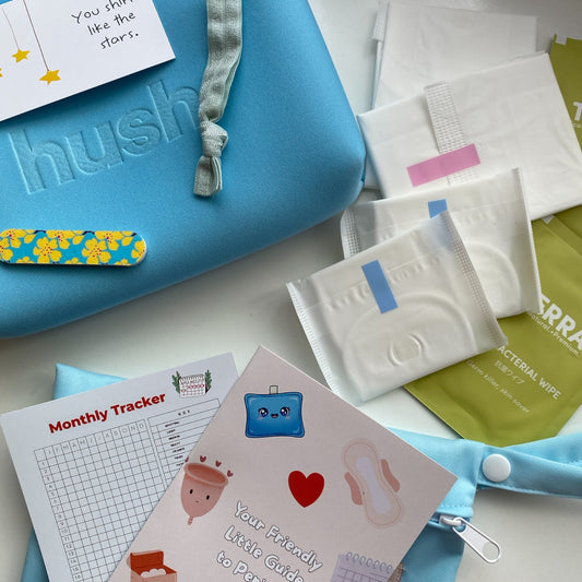 period kit includes, pads, liners, wet bag, antibacterial wipes, emergency nail file, hair tie, affirmation card, period guide and monthly tracker.